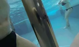 الذهاب إلى مقاطع سكس اجنبية مترجمة فمك مع الديك,