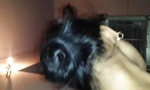 مرحبا مواقع سيكس اجنبية ، أنا ماشا!