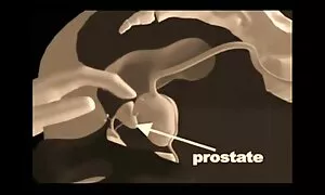 صباح شفرة افلام سكس اجنبي عربي