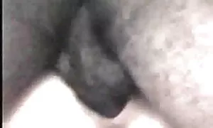 الموز هو صبي كبير الذي هو افلام سكس اجنبيه مترجمه عربى قرنية