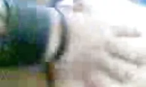 منظر ليلي افلام سكس اجنبية امهات