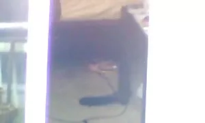 وتعذب اثنين من الألعاب الرياضية مثلي افلام سكس اجنبية مترجمة للعربية الجنس في الغابة من قبل الأخلاقية.